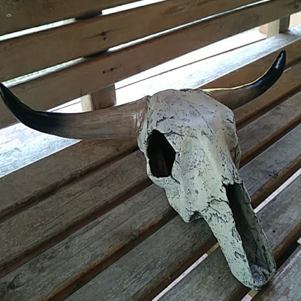 Imitation cow skull mini.